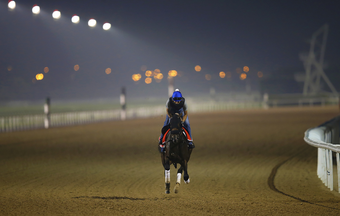 Подготовка к субботним скачкам Dubai World Cup 2021, ОАЭ