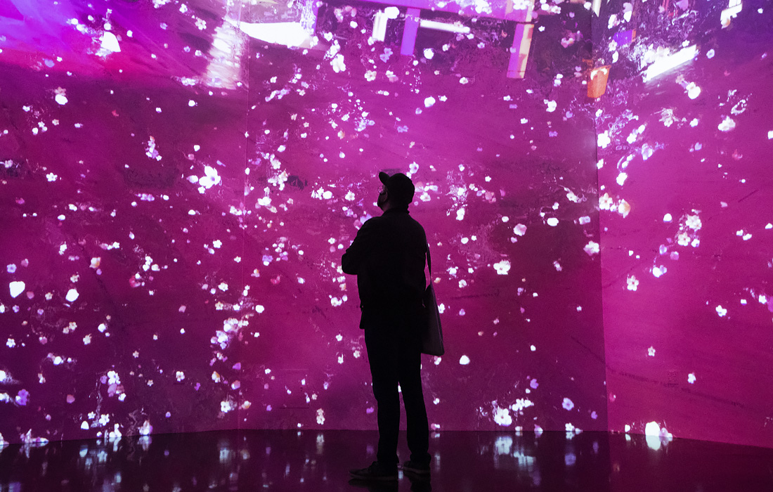 Выставка японского художника Юя Такеда "Renewal 2121"  в Вашингтоне