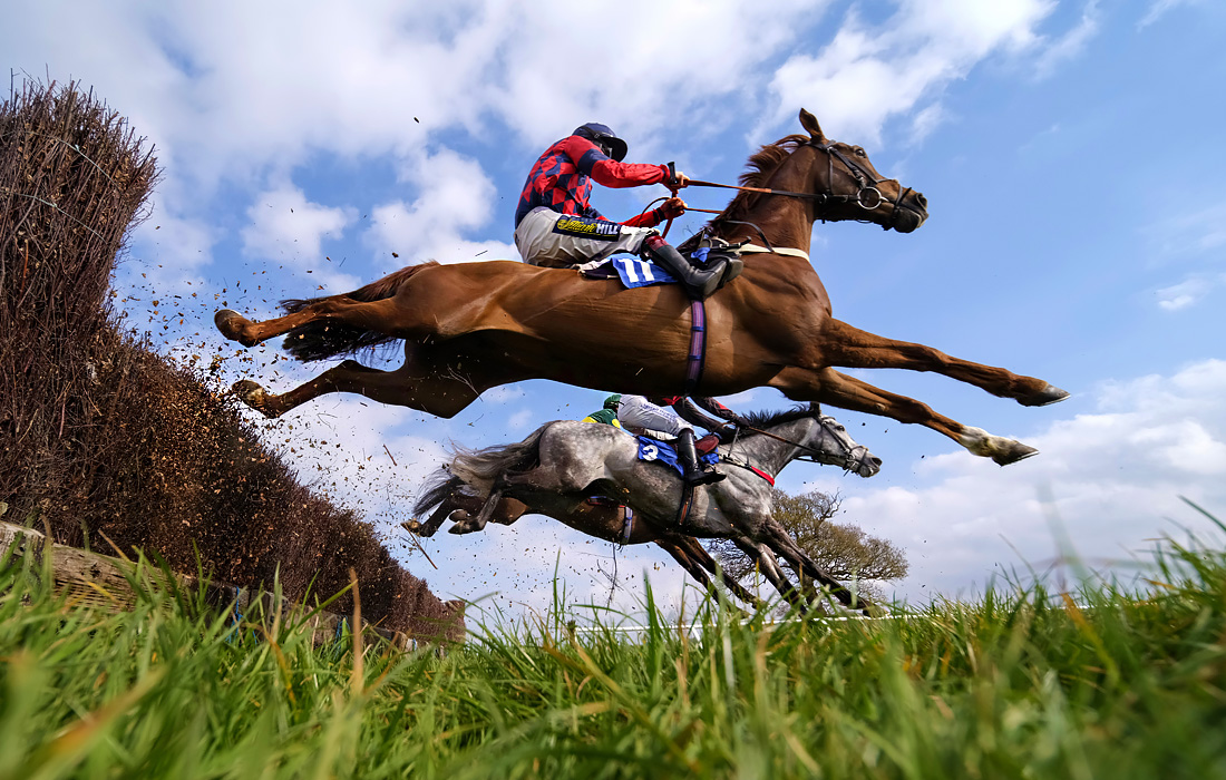 Соревнования на ипподроме в районе Тонтон-Дин, Англия