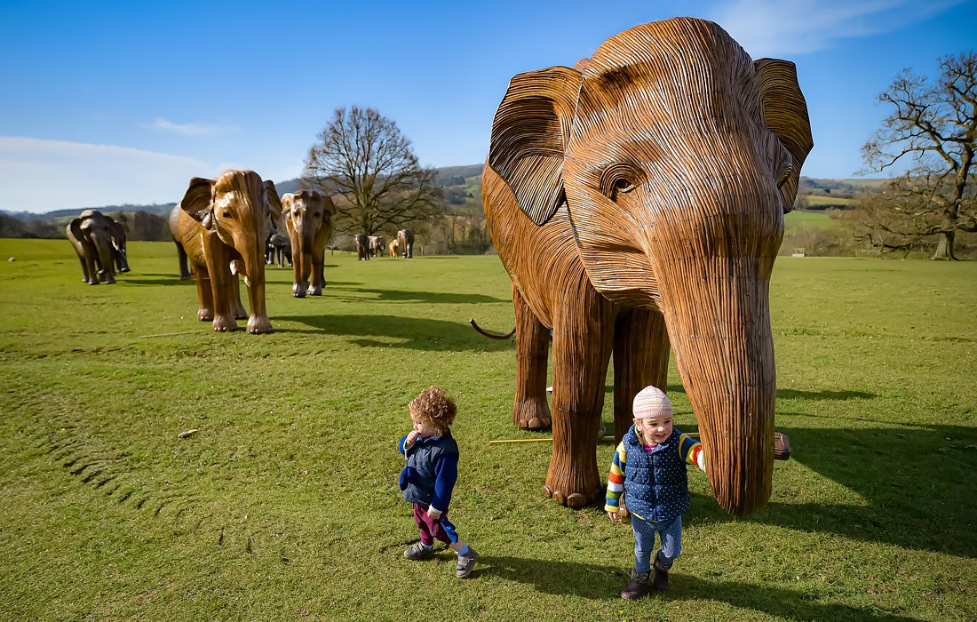 На территории английского замка Садели были установлены фигуры слонов, созданные благотворительной организацией Elephant Family