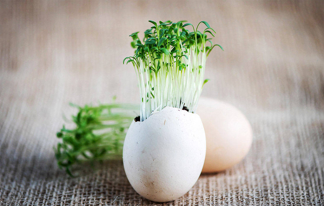 Там же обнаружены противоестественные яйца. Совпадение?