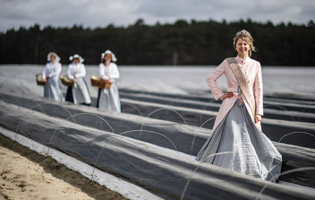 В Бранденбурге официально стартовал сезон сбора урожая спаржи
