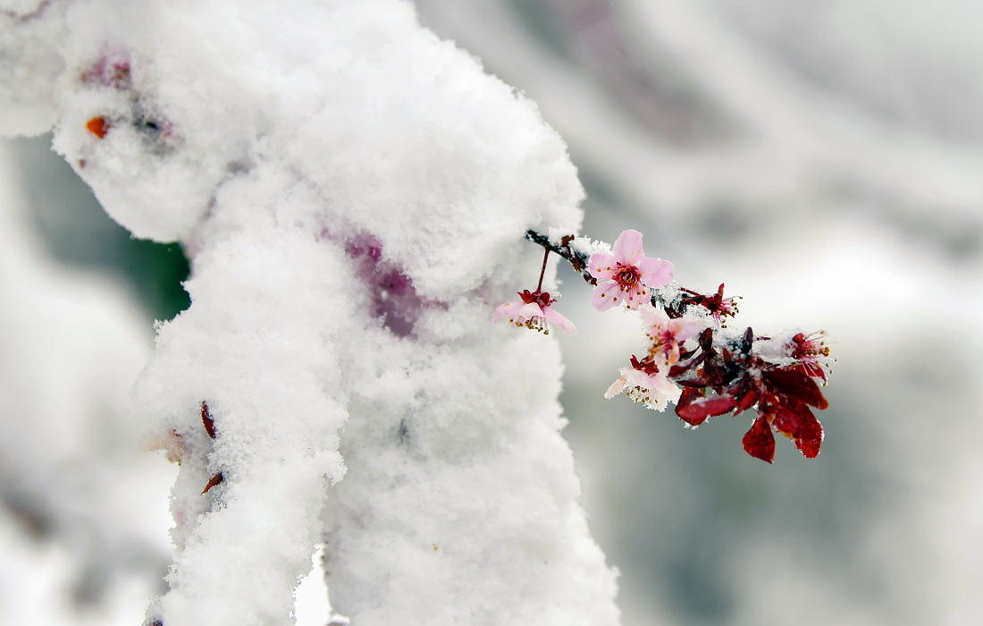 Снегопад в Венгрии