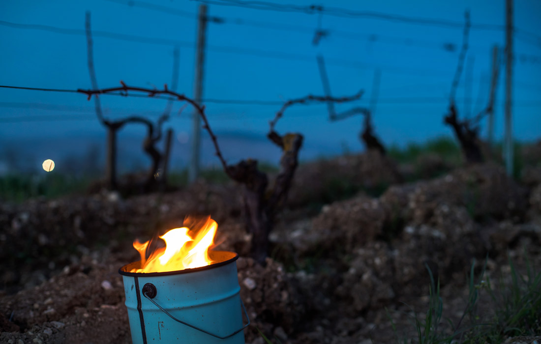 По ночам температура воздуха опускалась до -8 градусов