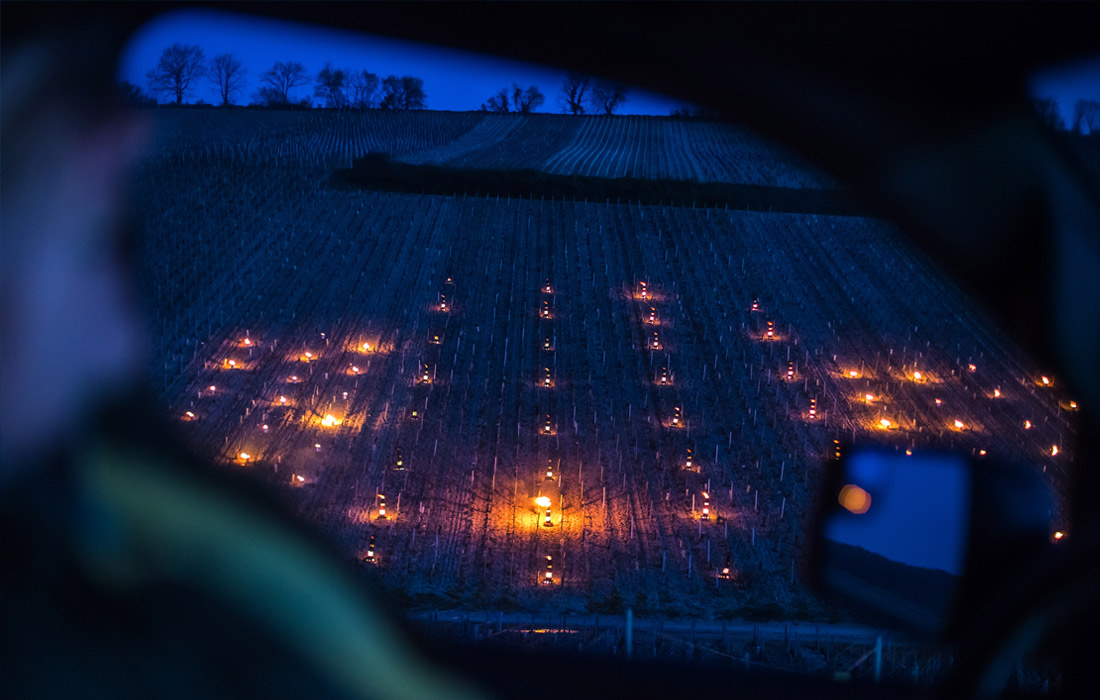Фермеры пытаются сохранить растения, разжигая огонь на полях