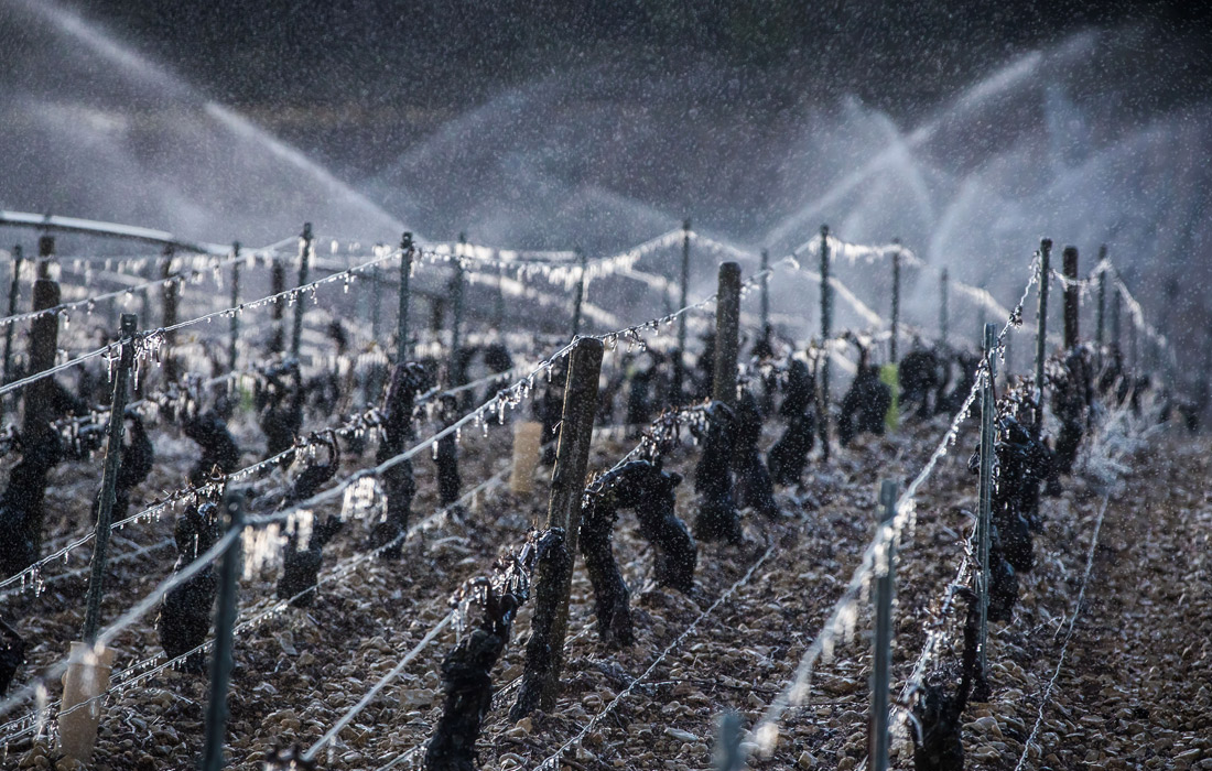 Власти обещают фермерам финансовую помощь