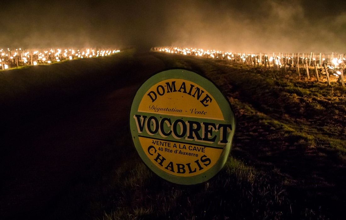 Морозы пришли в 10 из 13 регионов страны. Министр сельского хозяйства и продовольствия Жюльен Денорманди назвал апрельские заморозки "крупнейшей сельскохозяйственной катастрофой XXI века".