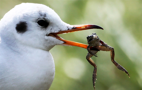 Лучшие фото недели