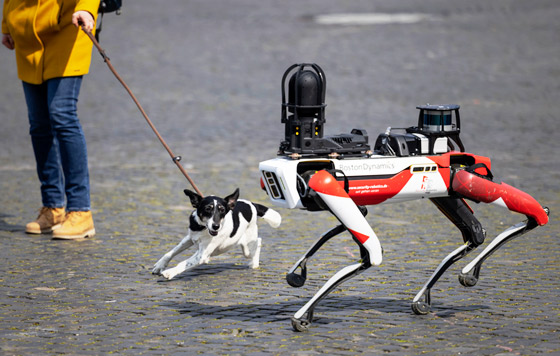 Фотохроника 20 апреля