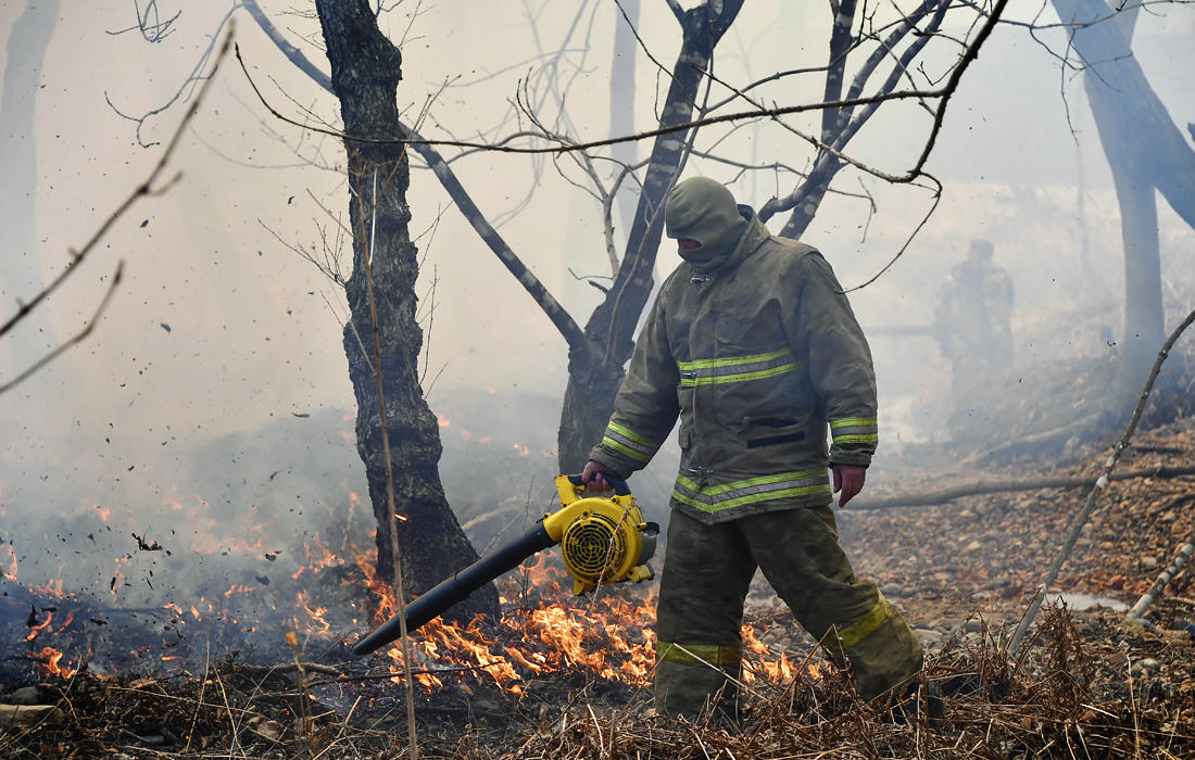 Ликвидация лесного пожара в районе села Тавричанка недалеко от Владивостока