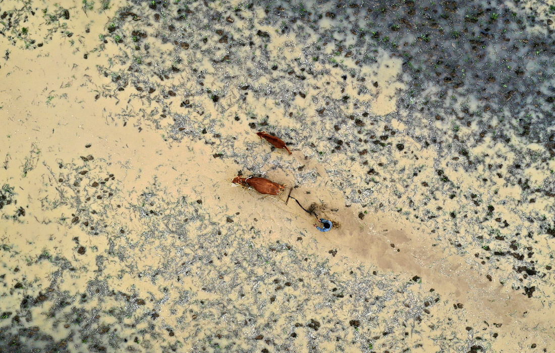 Пахотные работы на юго-западе Китая