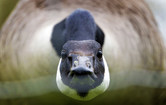 Лучшие фото недели