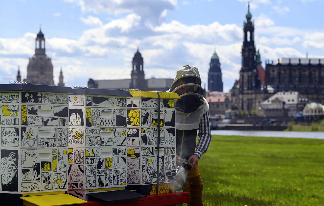 Ульи для пчел на берегу Эльбы, расписанные художниками к летнему фестивалю Palais в Дрездене