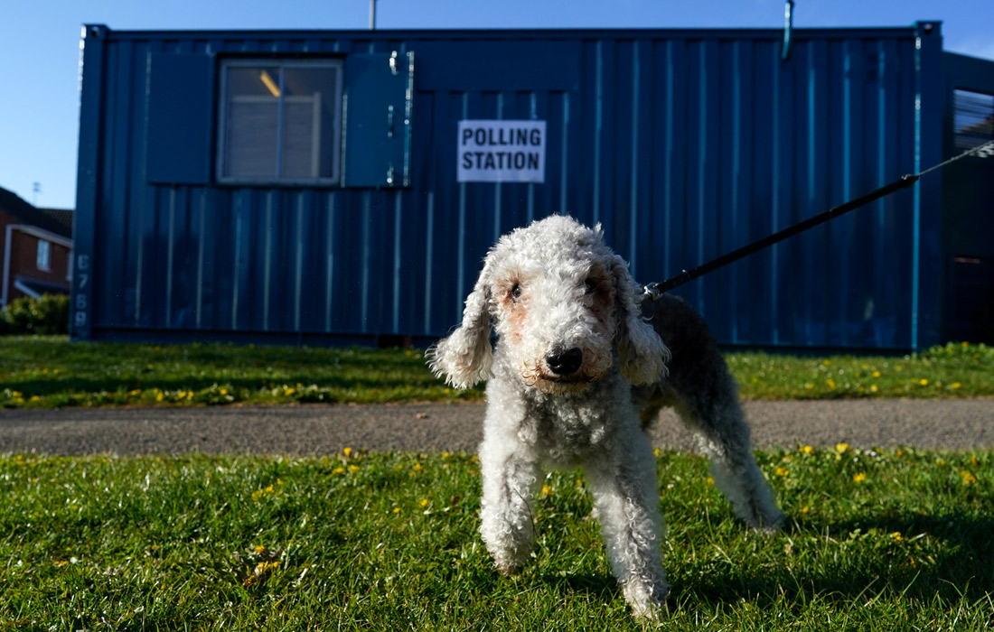 В Великобритании проходят самые масштабные региональные выборы за 48 лет
