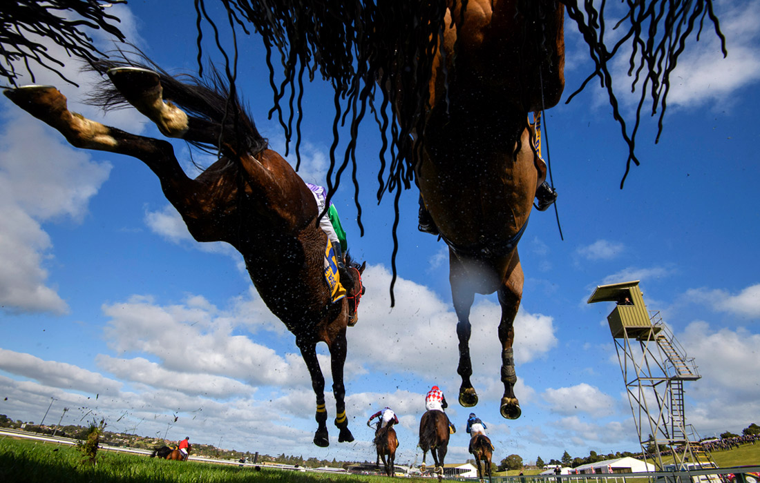 Лошадиные скачки в Австралии