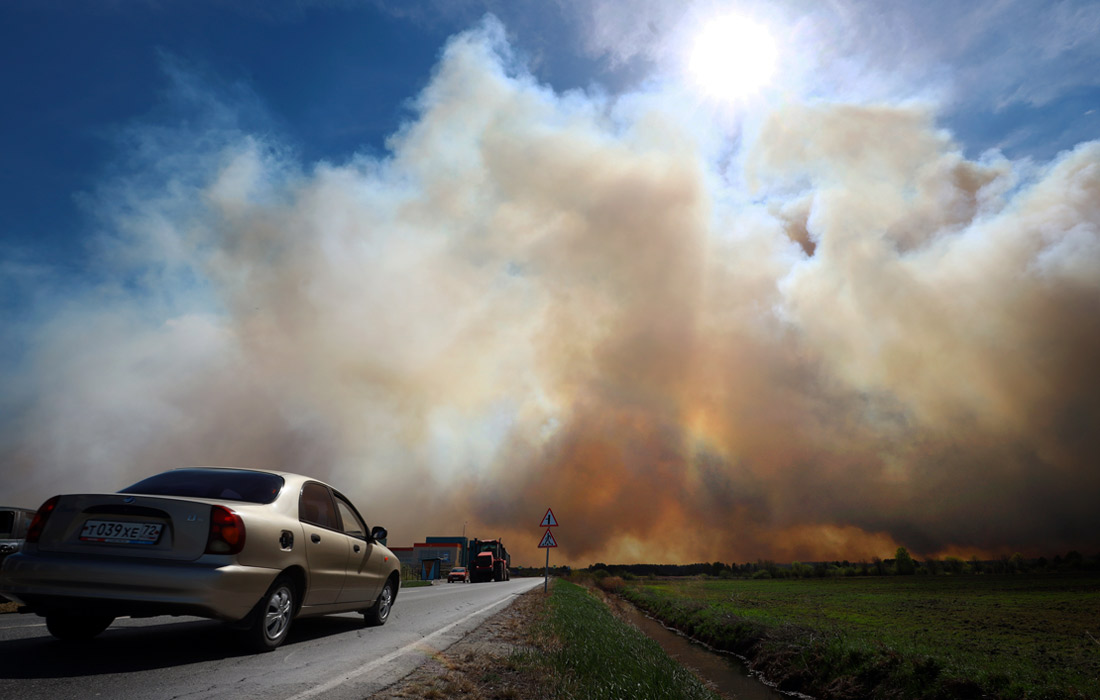 Более 20 природных пожаров зарегистрировано в Тюменской области