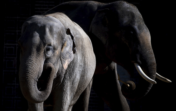 Лучшие фото недели