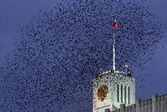 Кабмин не поддержал налоговое стимулирование взносов на негосударственные пенсии