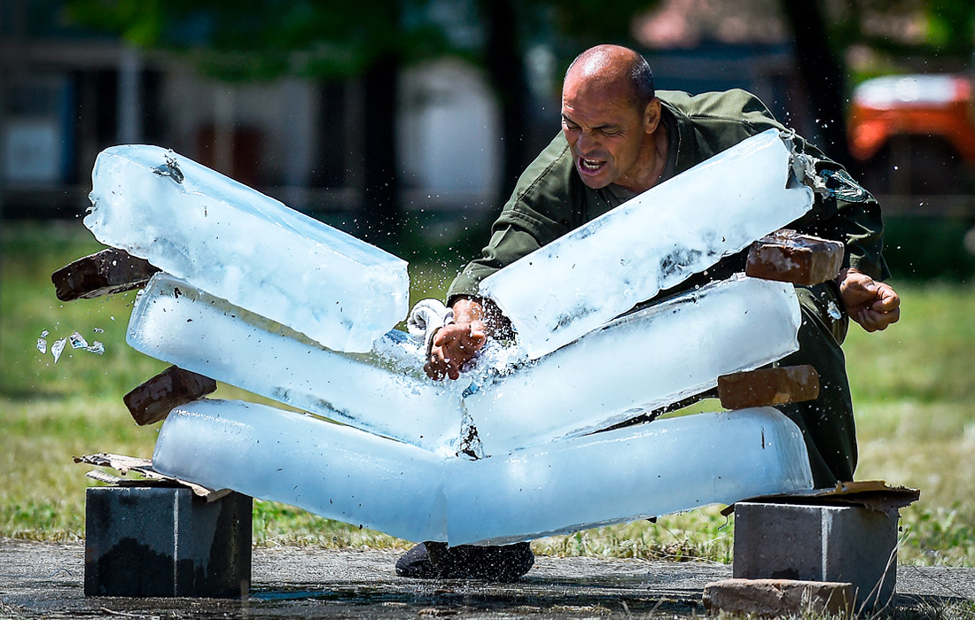 Учения "Троянский след" в Болгарии
