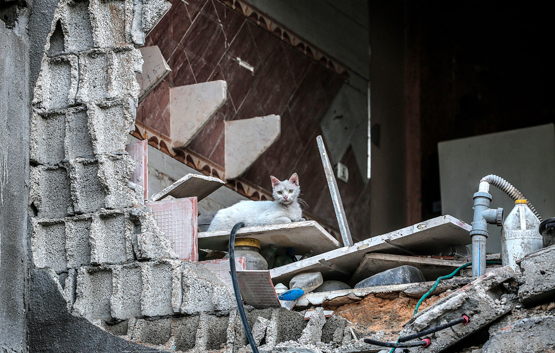 Развалины разрушенного дома в городе Бейт-Ханун на севере сектора Газа. 21 мая, после 11 дней обстрелов израильской территории из сектора Газа и ответных ударов армии обороны Израиля, вступил в силу режим прекращения огня.