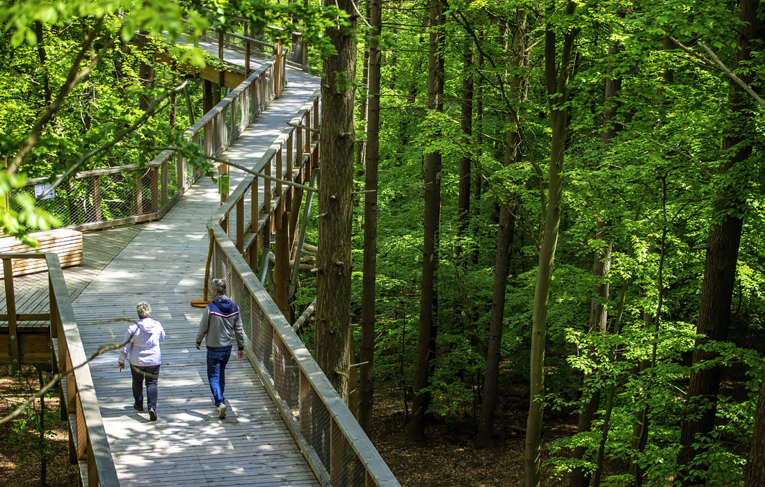 В немецкой коммуне Херингсдорф 1 июня откроется для посетителей туристическая тропа длиной 1350 метров, расположенная на высоте 23 метра