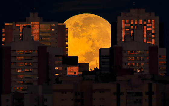 Лучшие фото недели