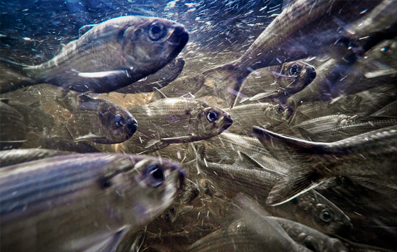 Лучшие фото недели