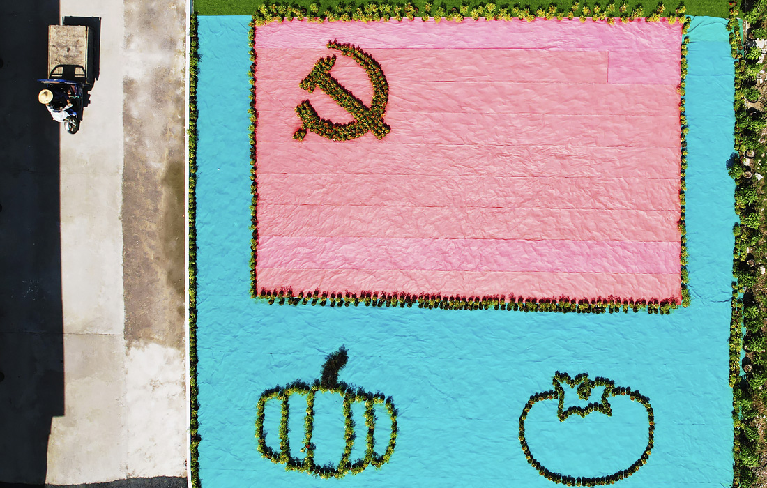 Картину из цветов и овощей в честь 100-летия Коммунистической партии Китая выложили на поле в провинции Чжэцзян