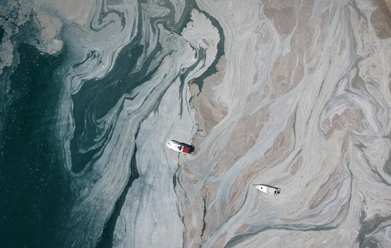 Мраморное море покрылось слизью