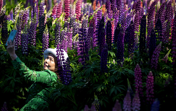 Фотохроника 8 июня