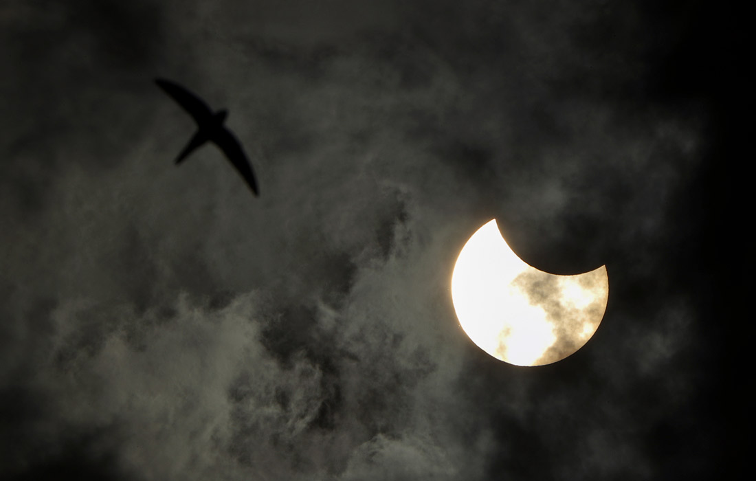 Фаза солнечного затмения в Санкт-Петербурге