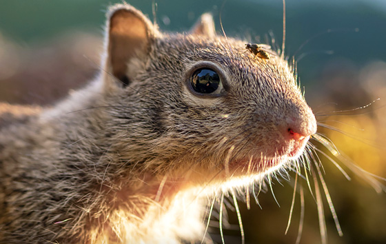 Лучшие фото недели