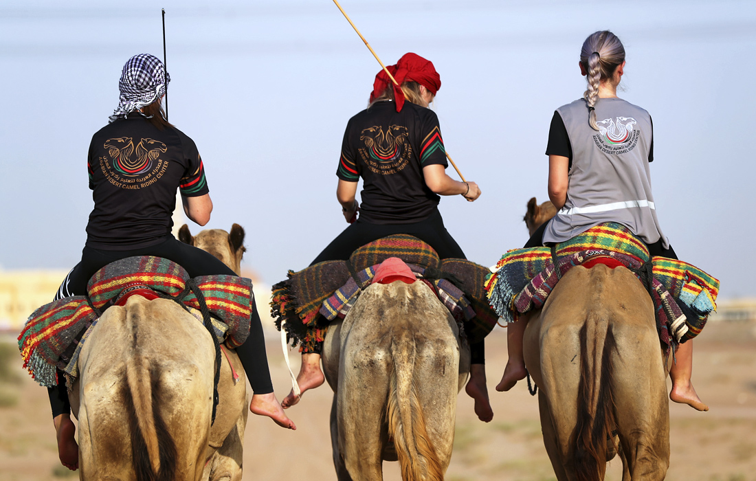 Школа верховой езды на верблюдах для женщин в Дубае