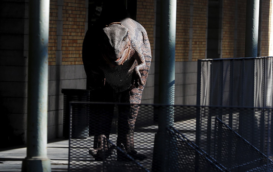 Фотохроника 16 июня