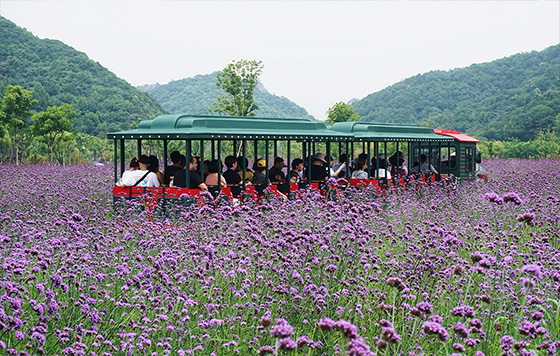 Фотохроника 17 июня