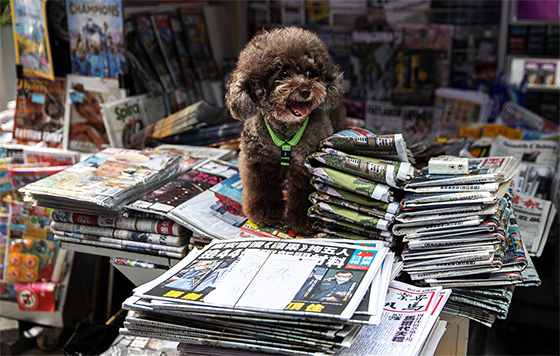 Фотохроника 18 июня