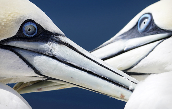 Лучшие фото недели