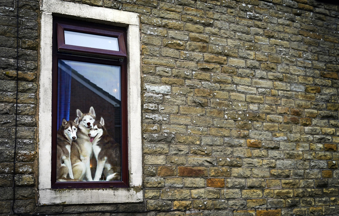 Повседневная жизнь Великобритании