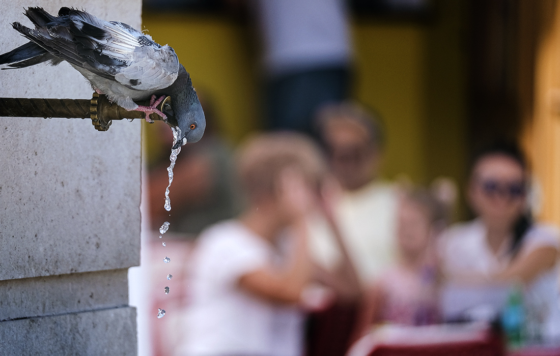 Жара в Приштине, Косово