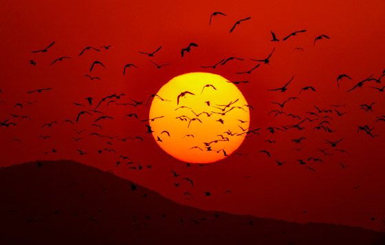 Лучшие фото недели