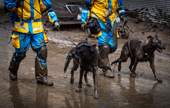 Фотохроника 5 июля