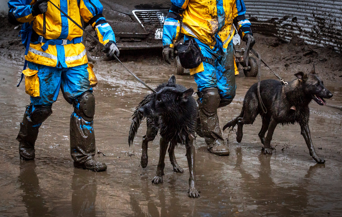 В результате операции после сошедшего в субботу мощного оползня в японской префектуре Сидзуока удалось спасти 19 человек