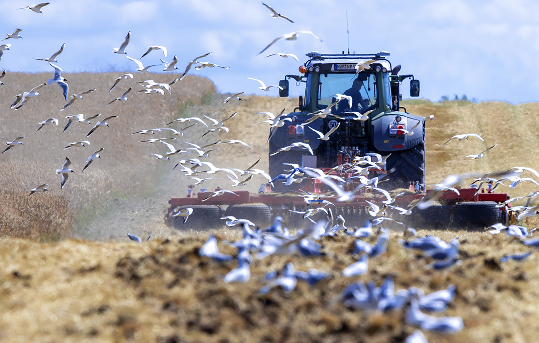 Фотохроника 6 июля