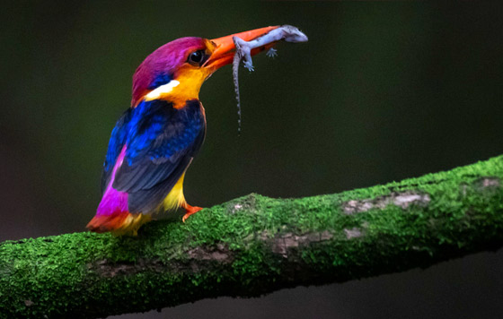 Фотохроника 8 июля