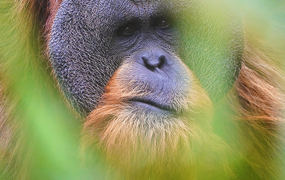 Фотохроника 9 июля