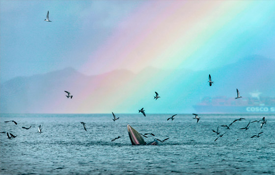 Лучшие фото недели