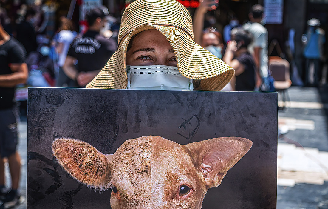 Активисты и организации по защите прав животных провели акцию в Анкаре, Турция