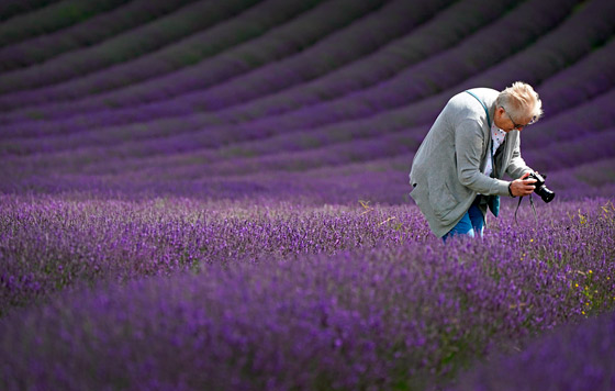 Фотохроника 13 июля