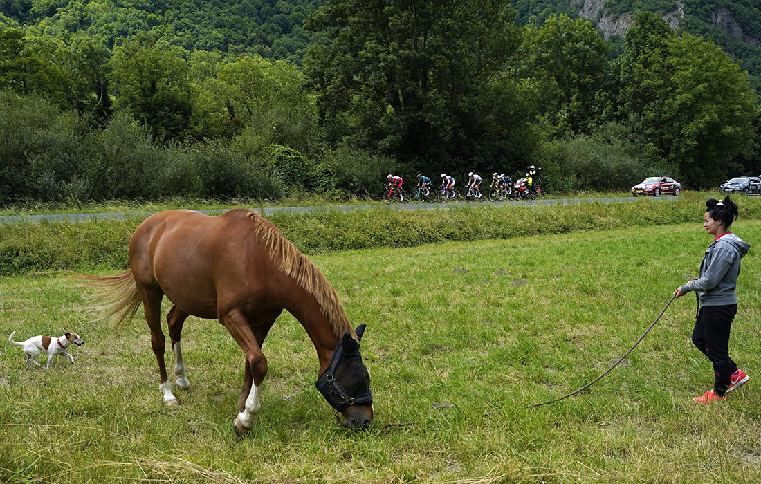 Семнадцатый этап велогонки Тур де Франс