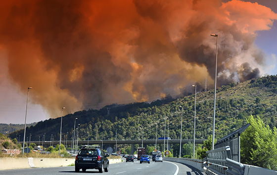 Фотохроника 14 июля
